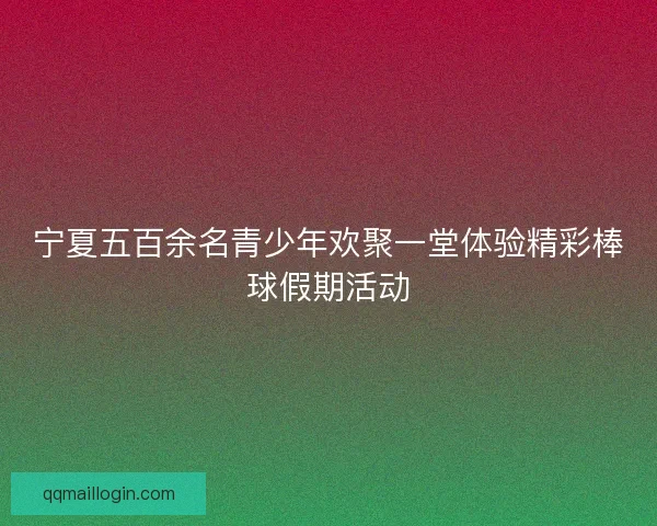 宁夏五百余名青少年欢聚一堂体验精彩棒球假期活动